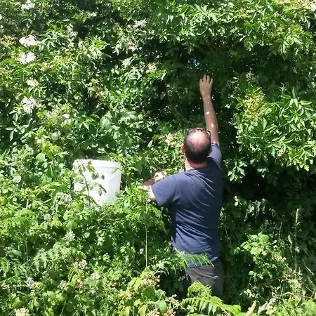 בית נופש Shannonview Country House *