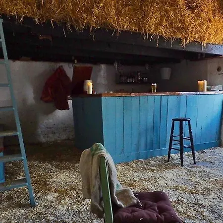 Shannonview Country House * Labasheeda